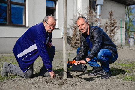 Obcina_hoce_slivnica_sajenje_lip marec2026_foto_pigac_si (34)